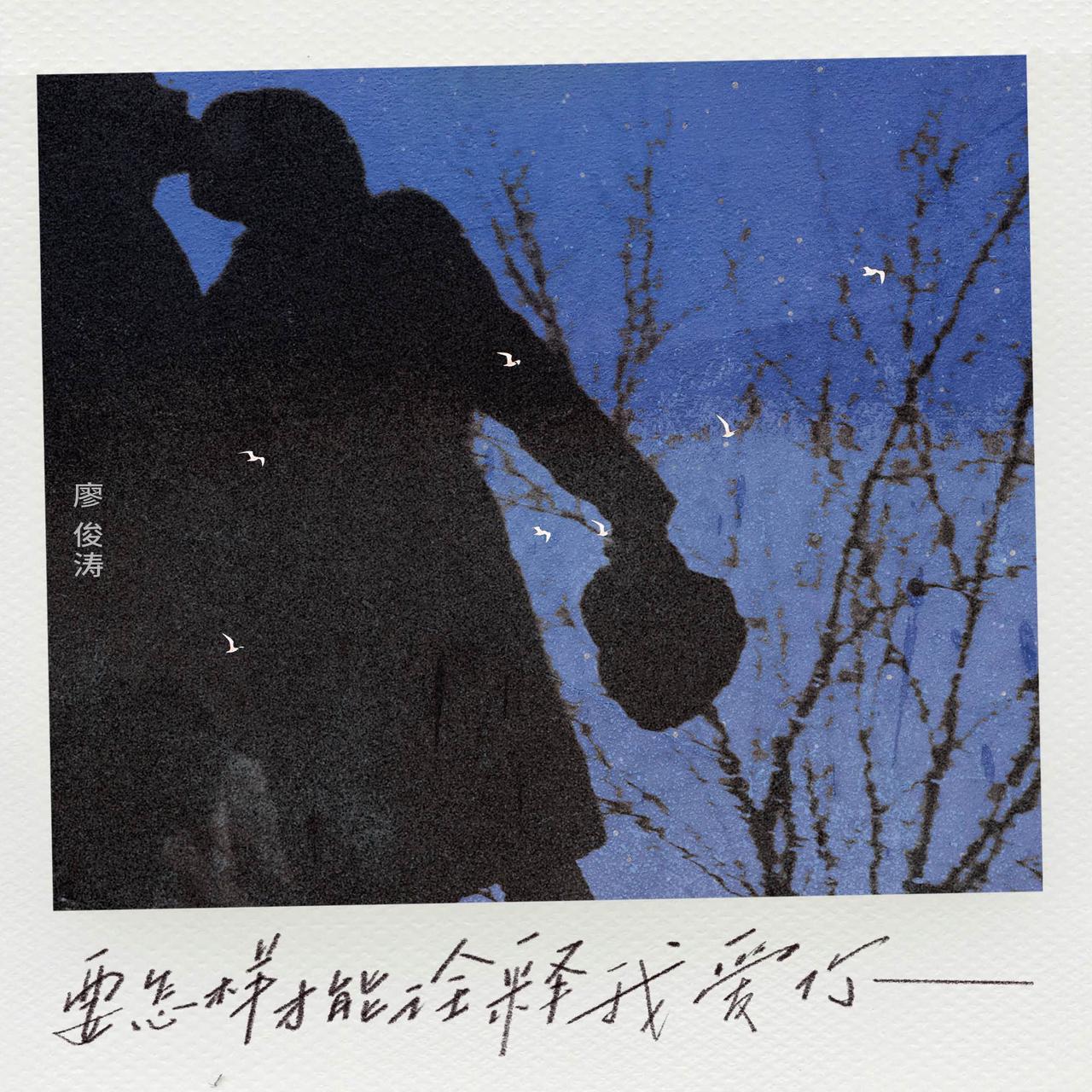 廖俊涛 - 要怎样才能诠释我爱你